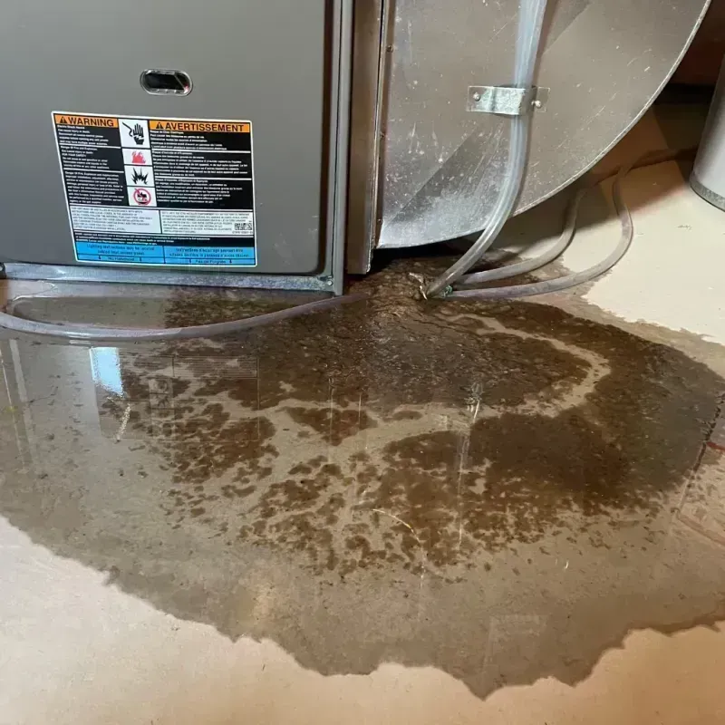 Appliance Leak Cleanup in Glendale, MO